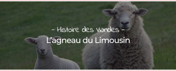 Agneau Limousin