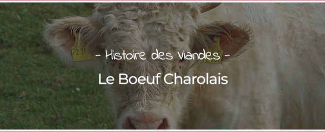Boeuf Charolais