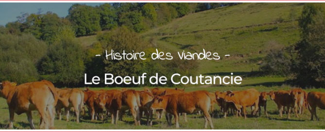 Boeuf de Coutancie