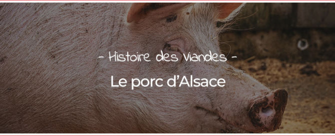 Le porc d'Alsace