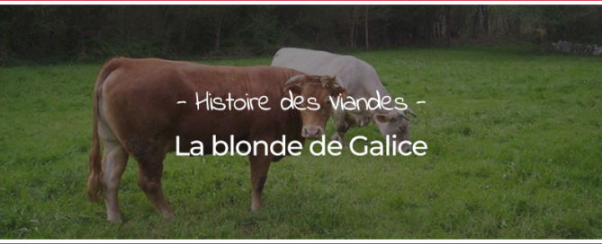 Blonde de Galice